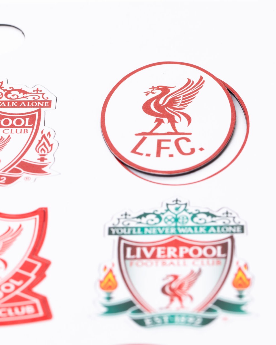 LFC 18 Magnet Set - Image 2