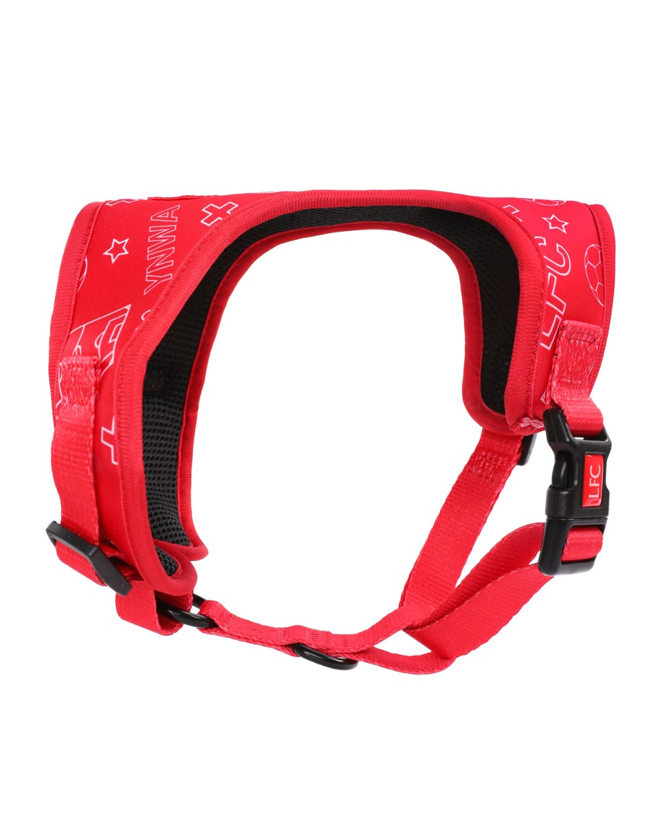 LFC ペットハーネス - Image 4