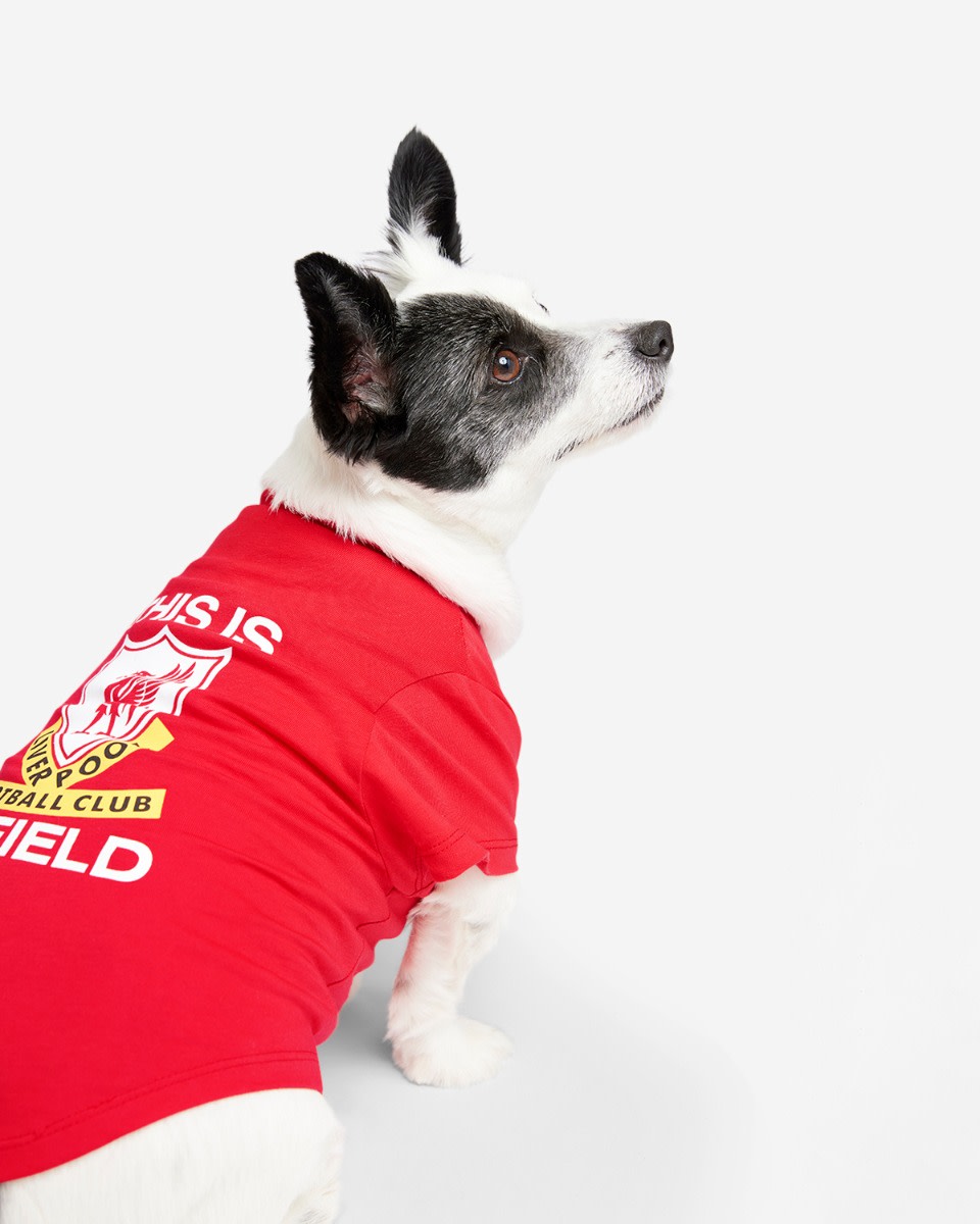 LFC Dog Das ist Anfield Tee - Image 3
