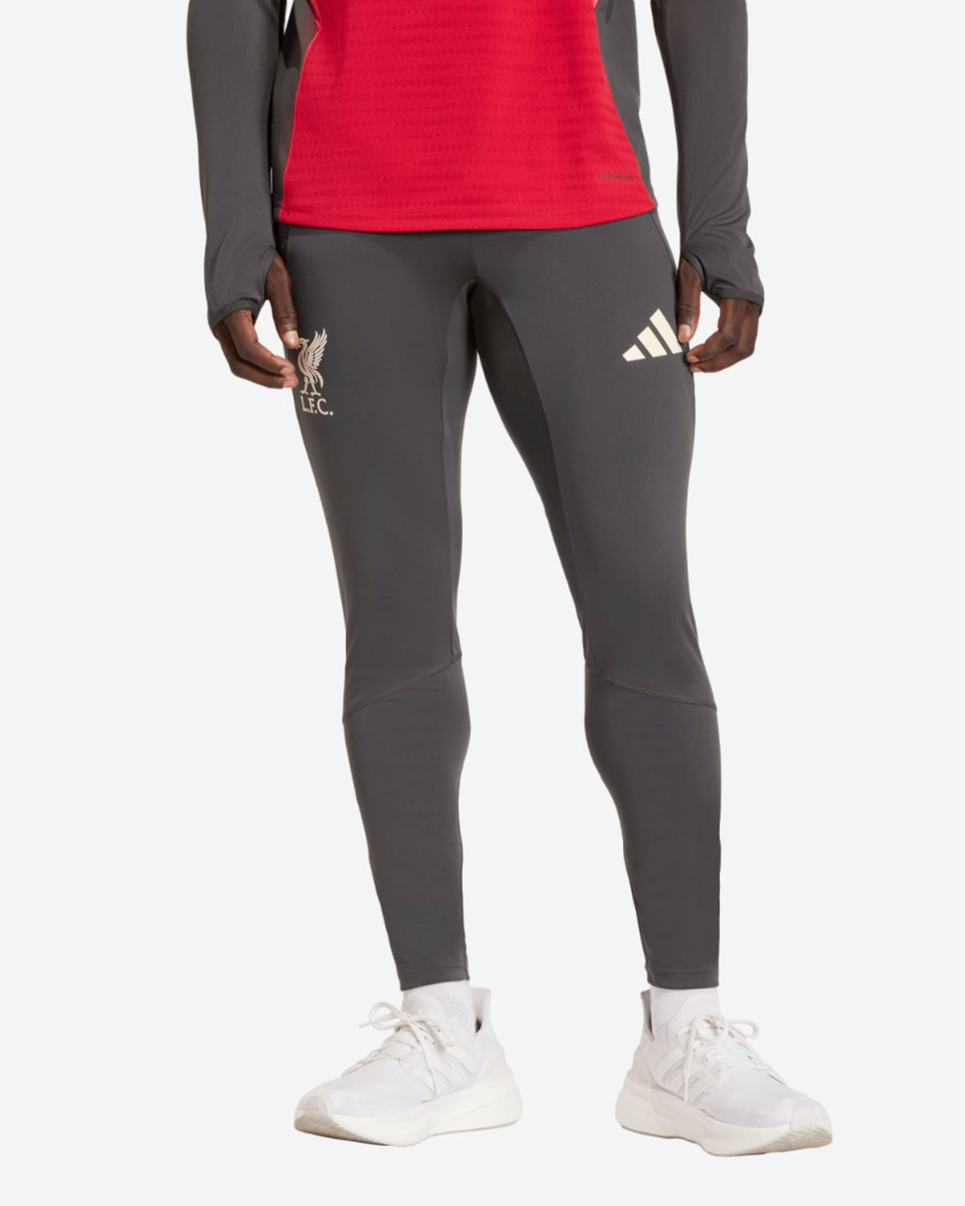 Pantalon LFC Adidas 25/26 Pro pour homme, noir - Image 1
