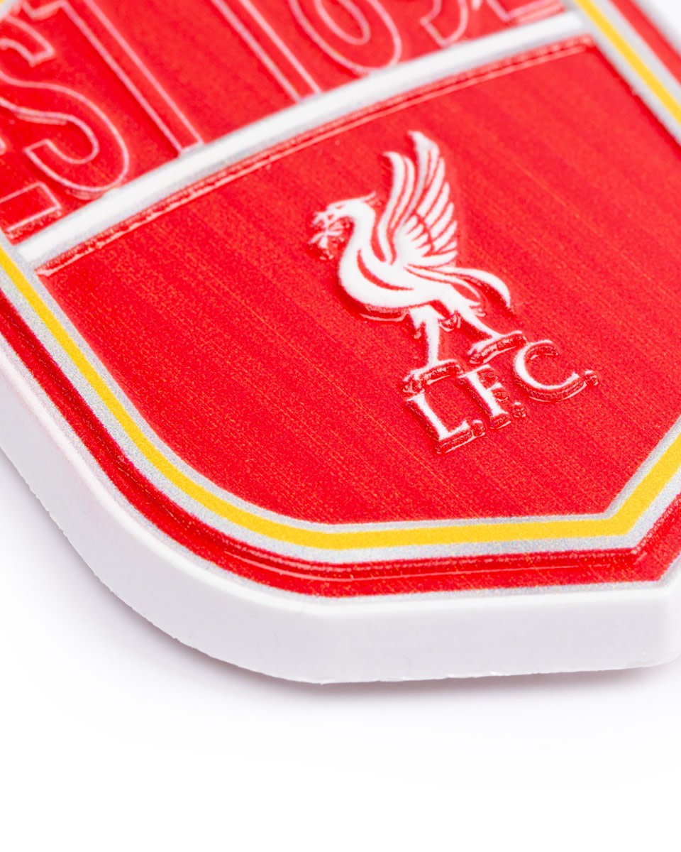 LFC Resin Magnet - Image 2