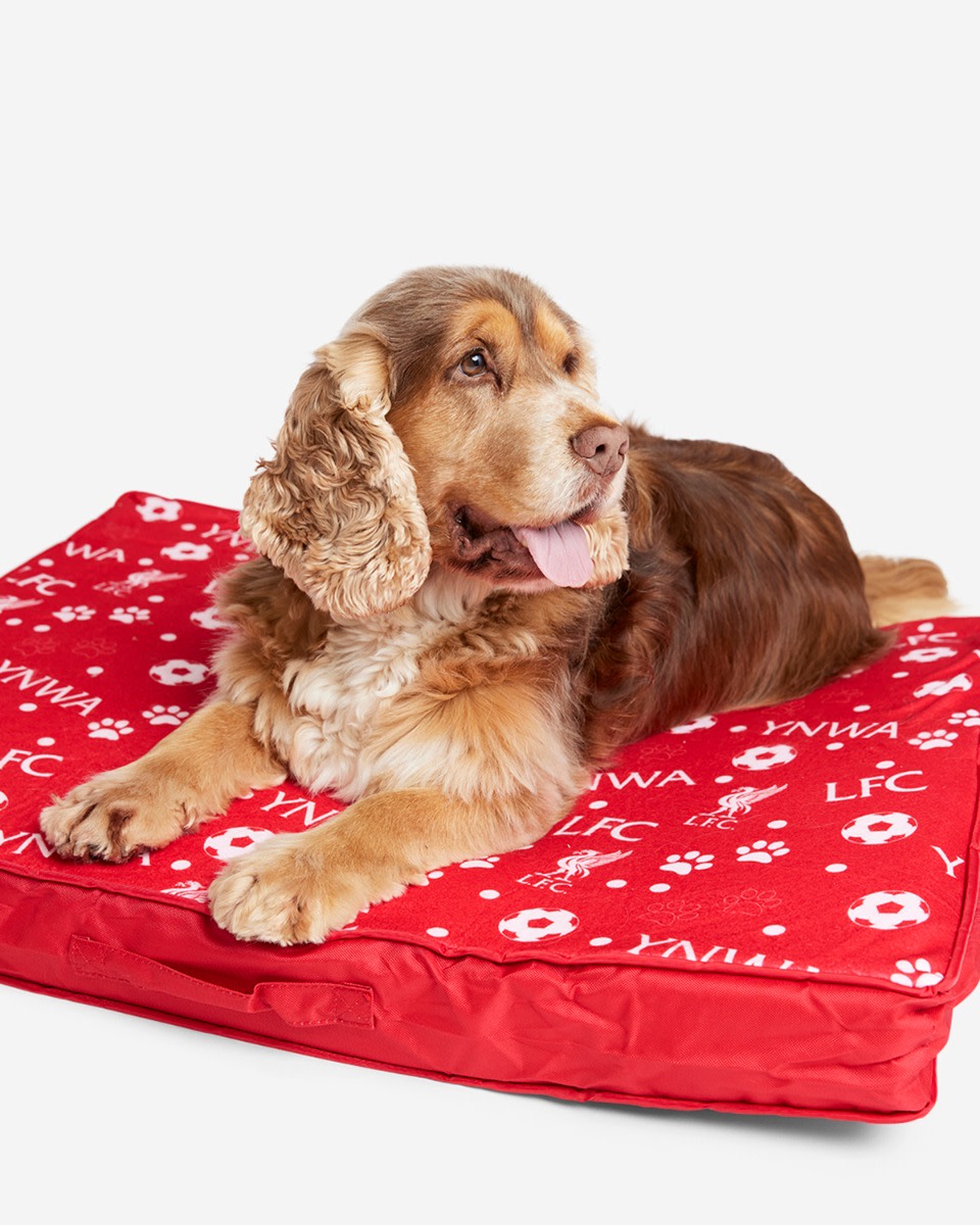 LFC Pet Mattress - Image 1