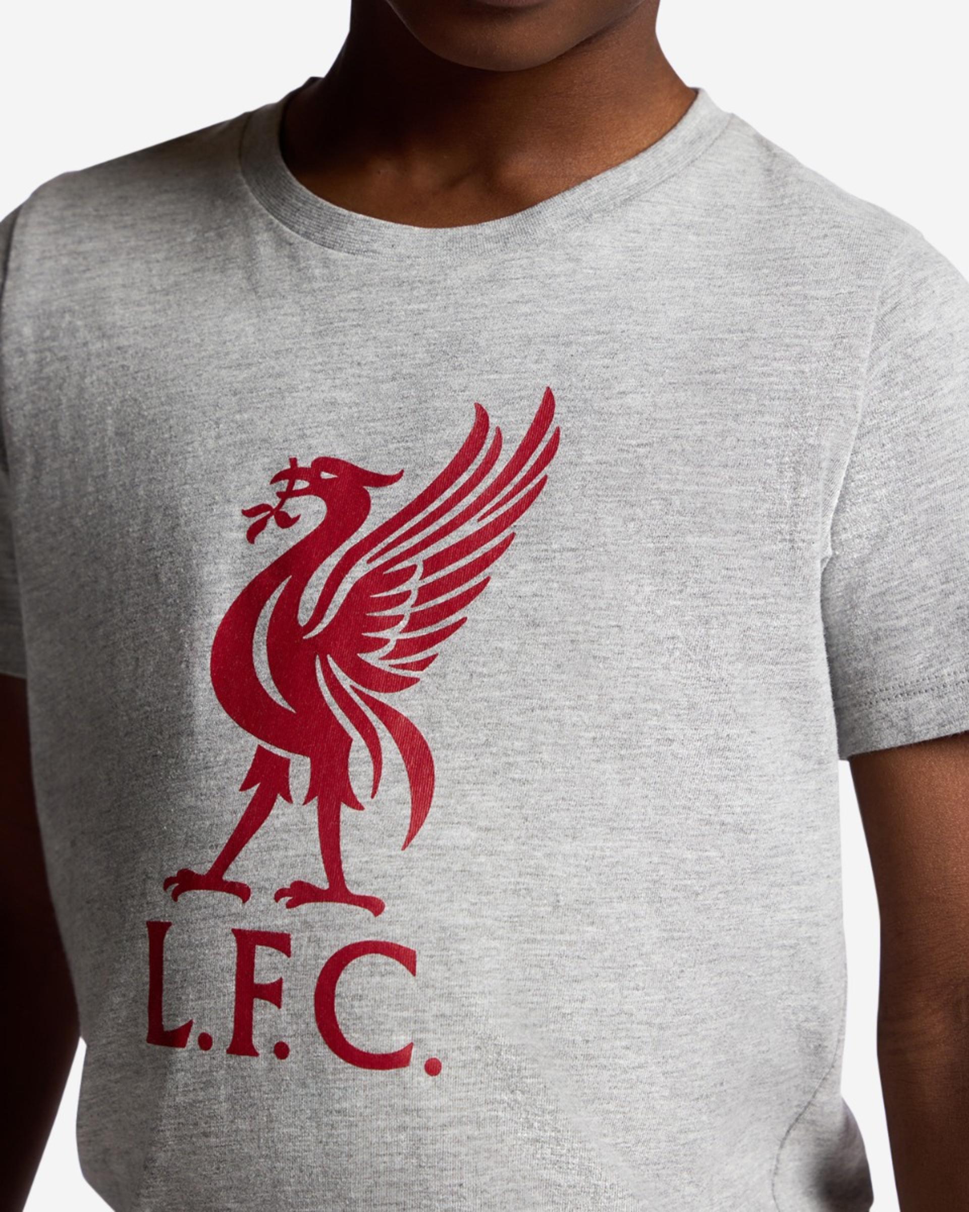 LFC Juniors Check-Boxer-Pyjama-Set, Grau - Image 3