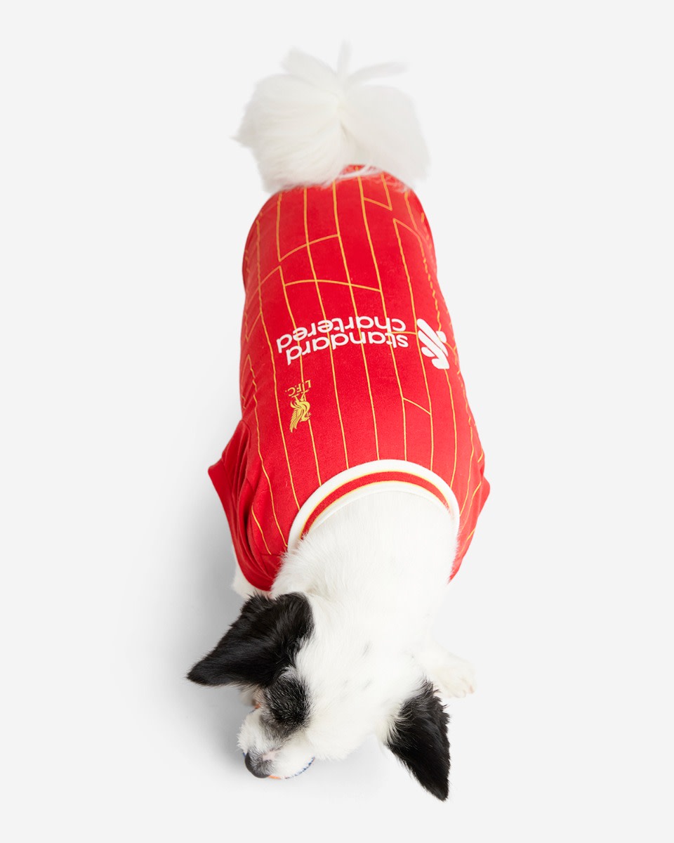 LFC 24/25 Home Pet Tee - Image 3