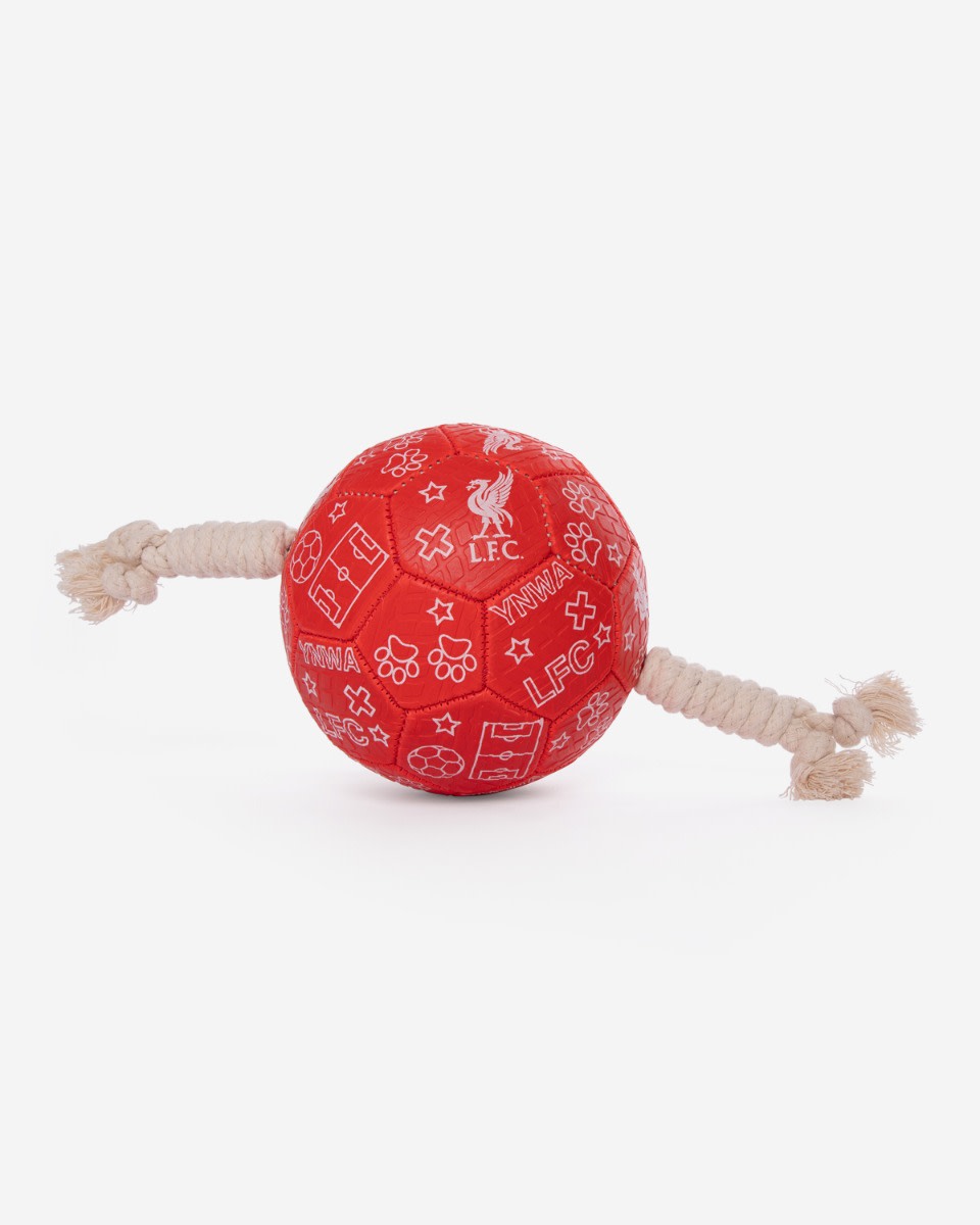 LFC Dog Football - Image 1