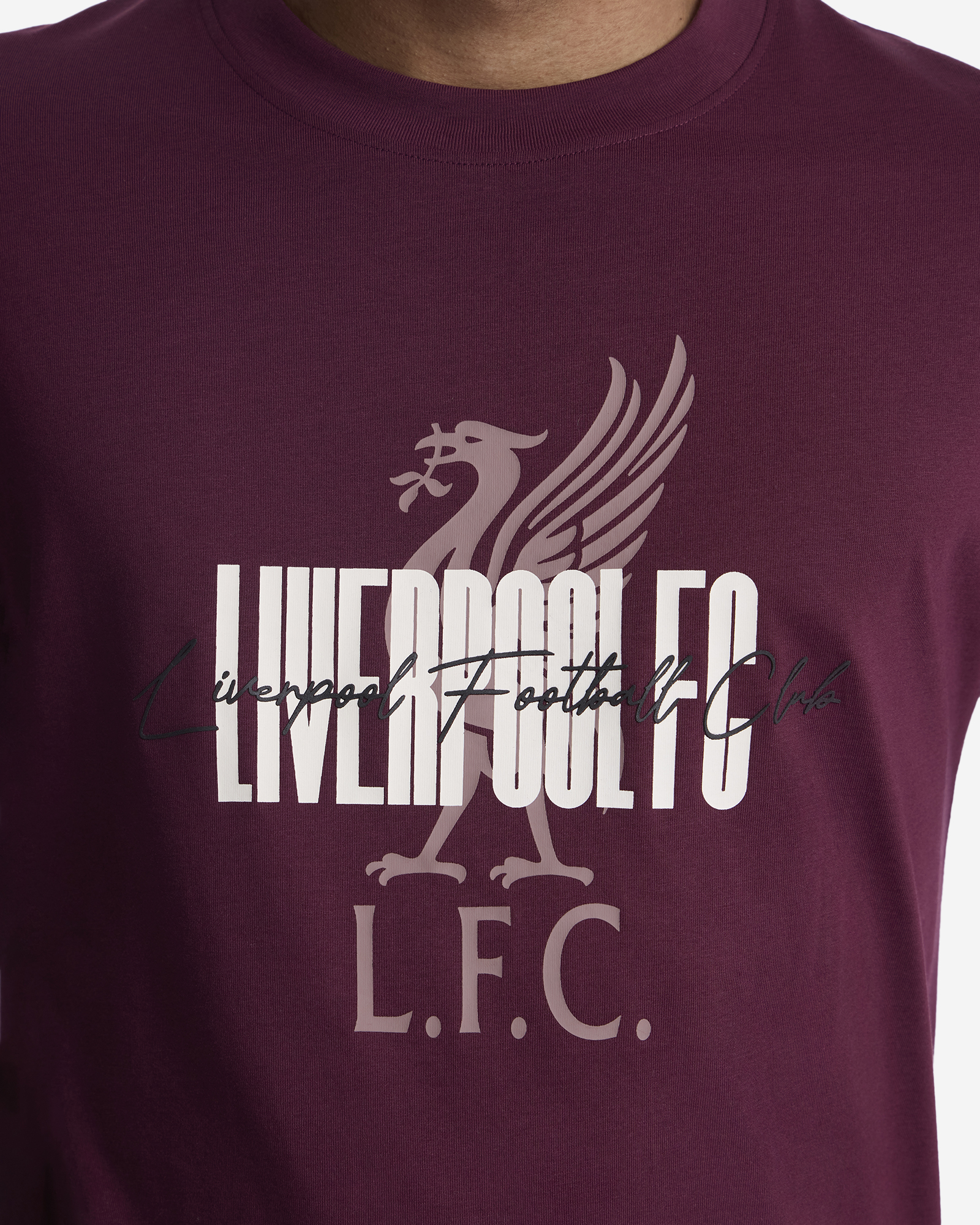 LFC 男士 Liverbird T 恤图案 - Image 3