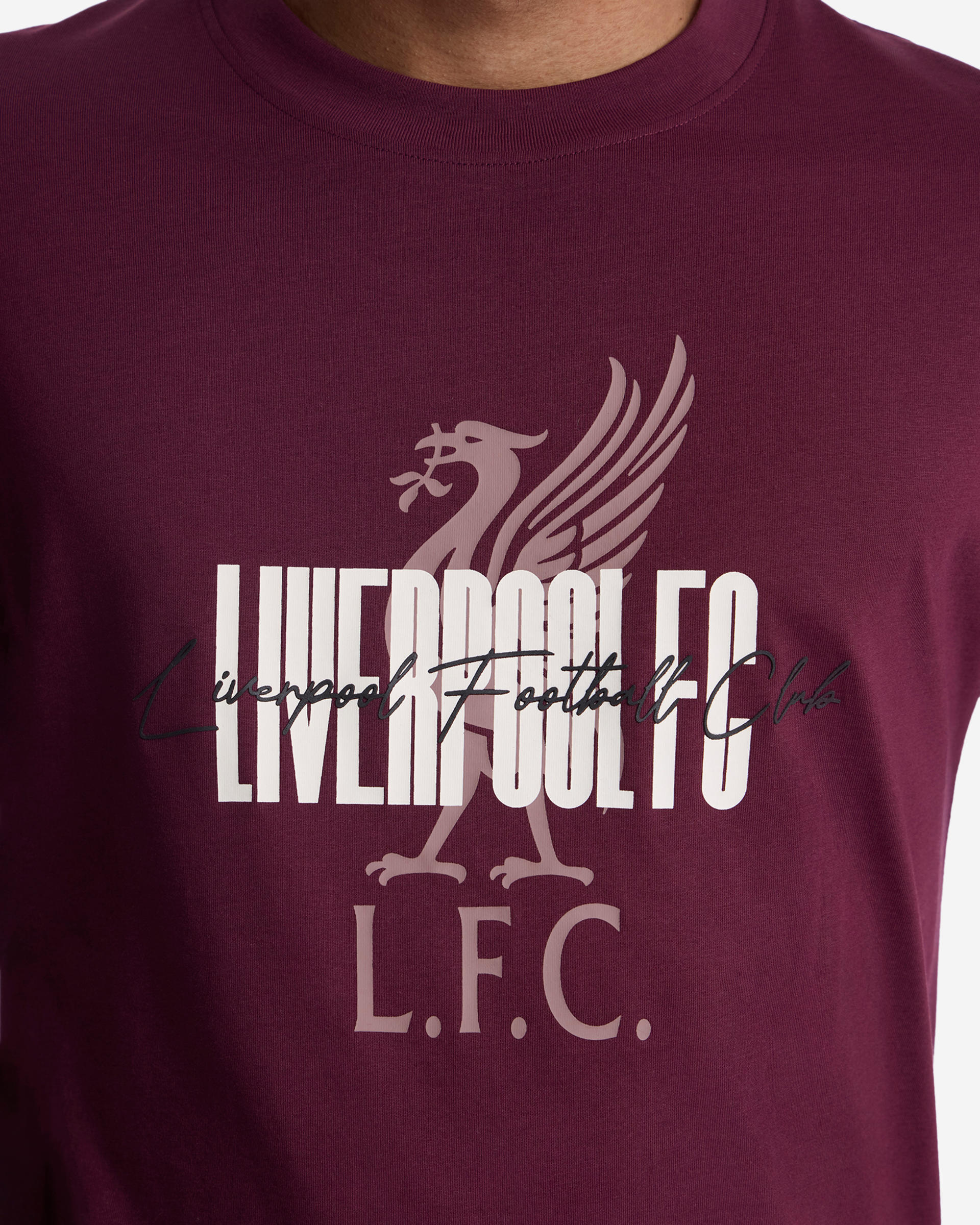 Camiseta Liverbird de LFC para hombre - Image 3