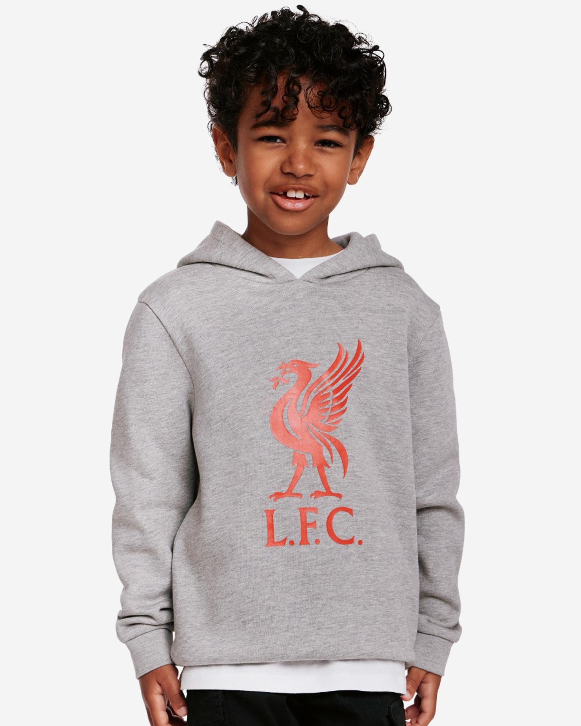LFC Juniors Liverbird Hættetrøje Grå Marl - Image 2