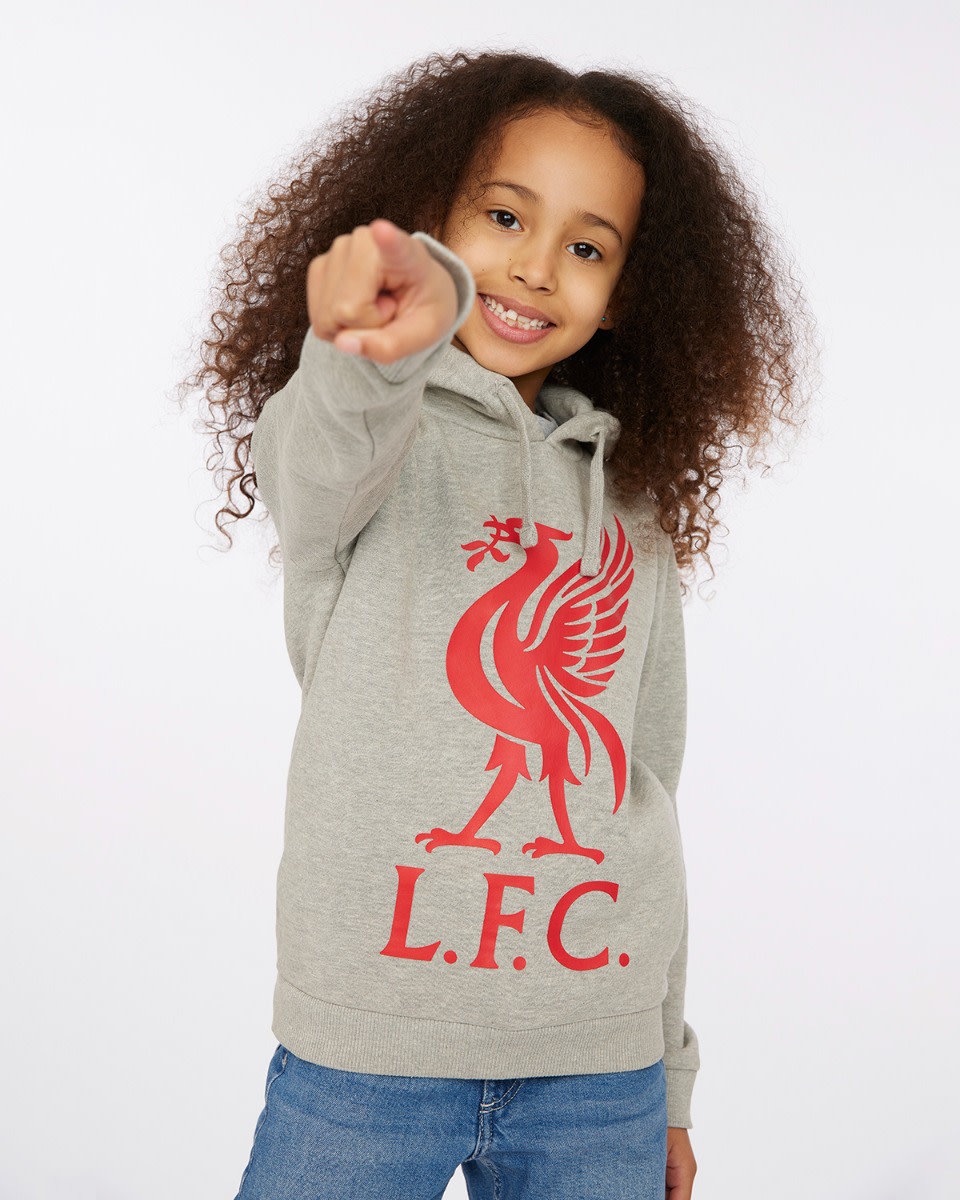 LFC Junior Liverbird Hoody Grey - Image 4