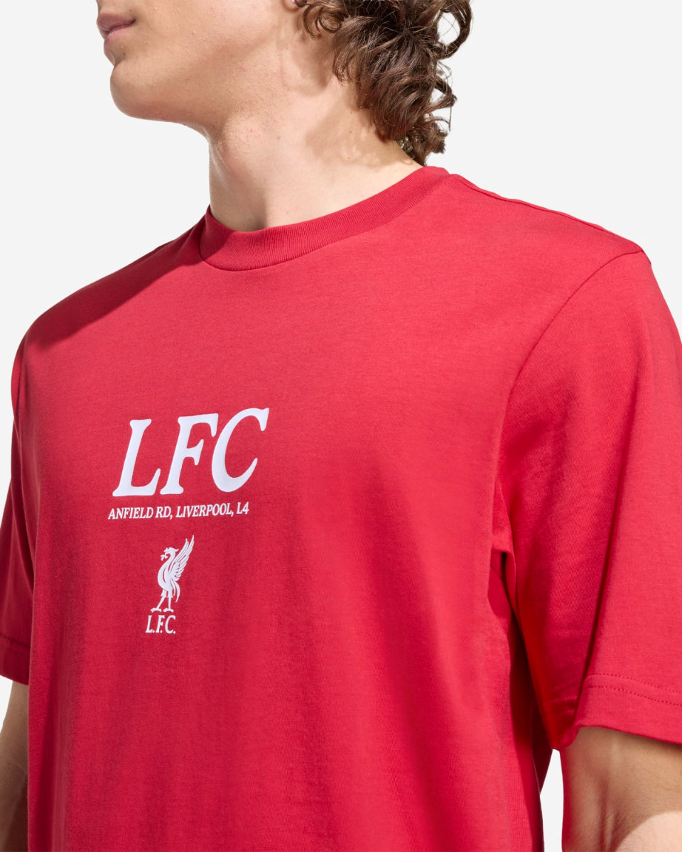LFC adidas Herr Seasonal Graphic Tee Röd - Image 4