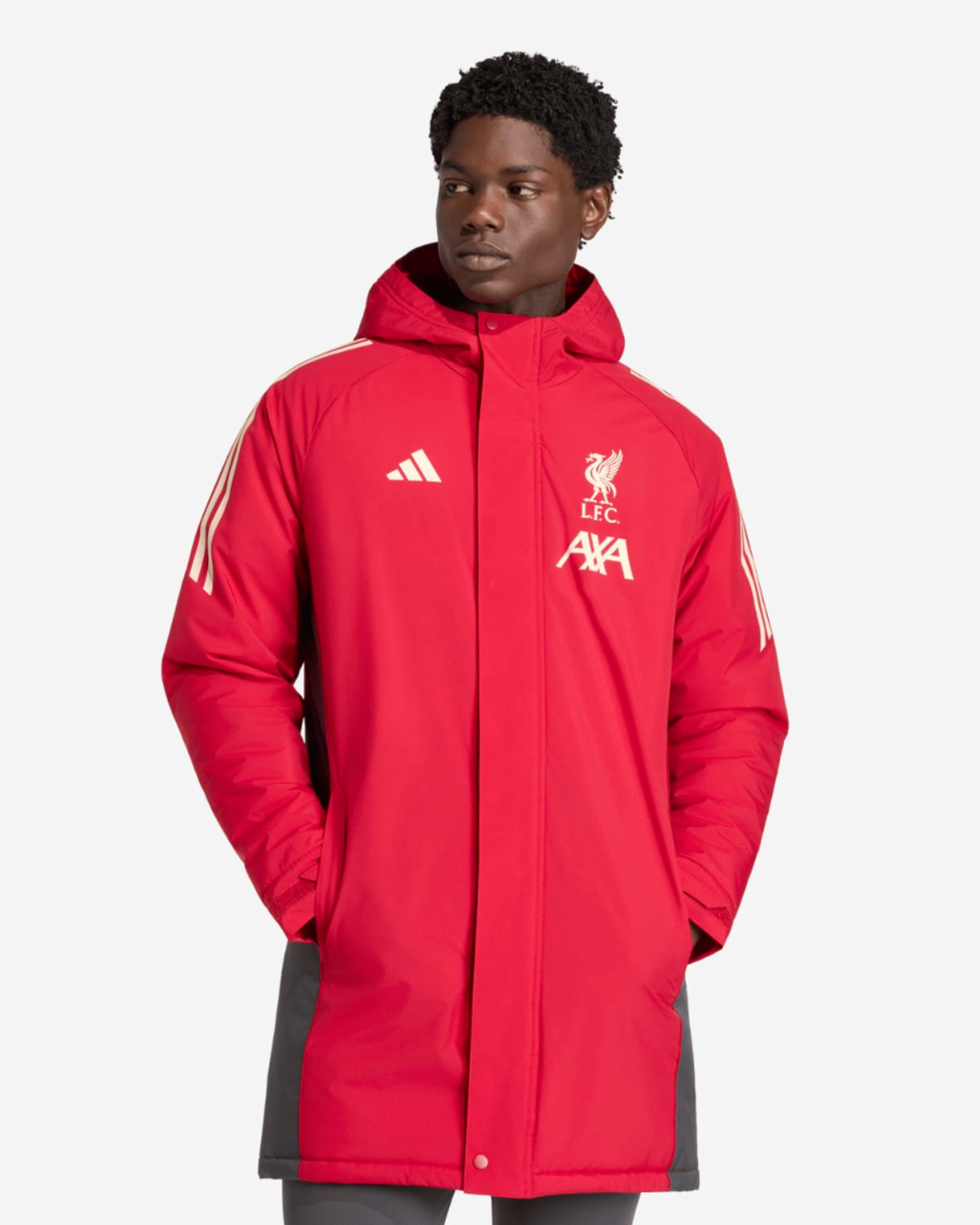 LFC adidas Herre 25/26 Lang match-Day-jakke Rød - Image 1