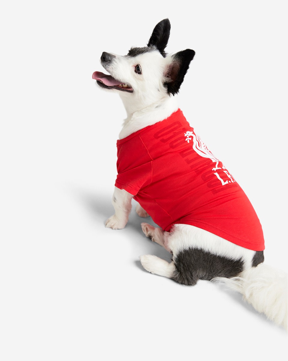 LFC Pet Forever Red Tee - Image 3