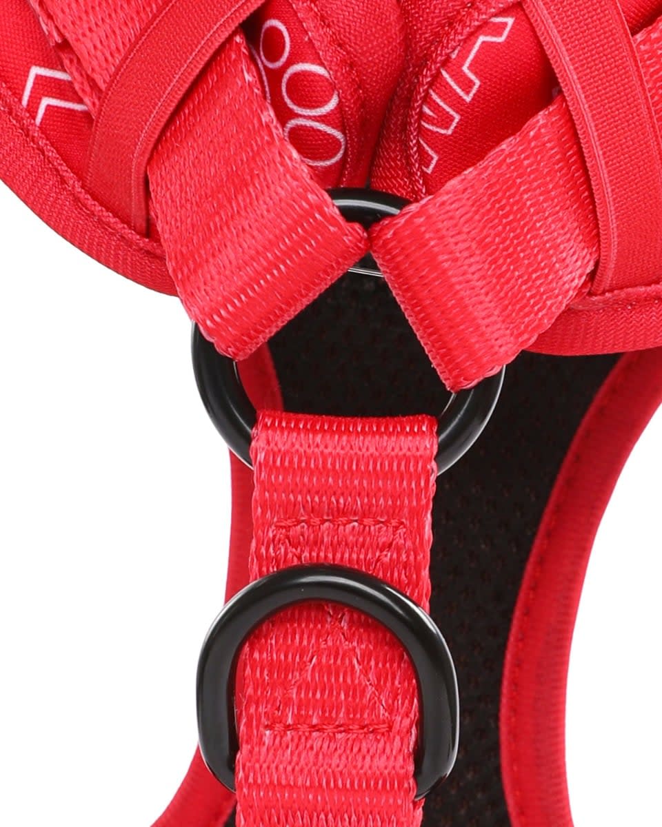 LFC ペットハーネス - Image 3