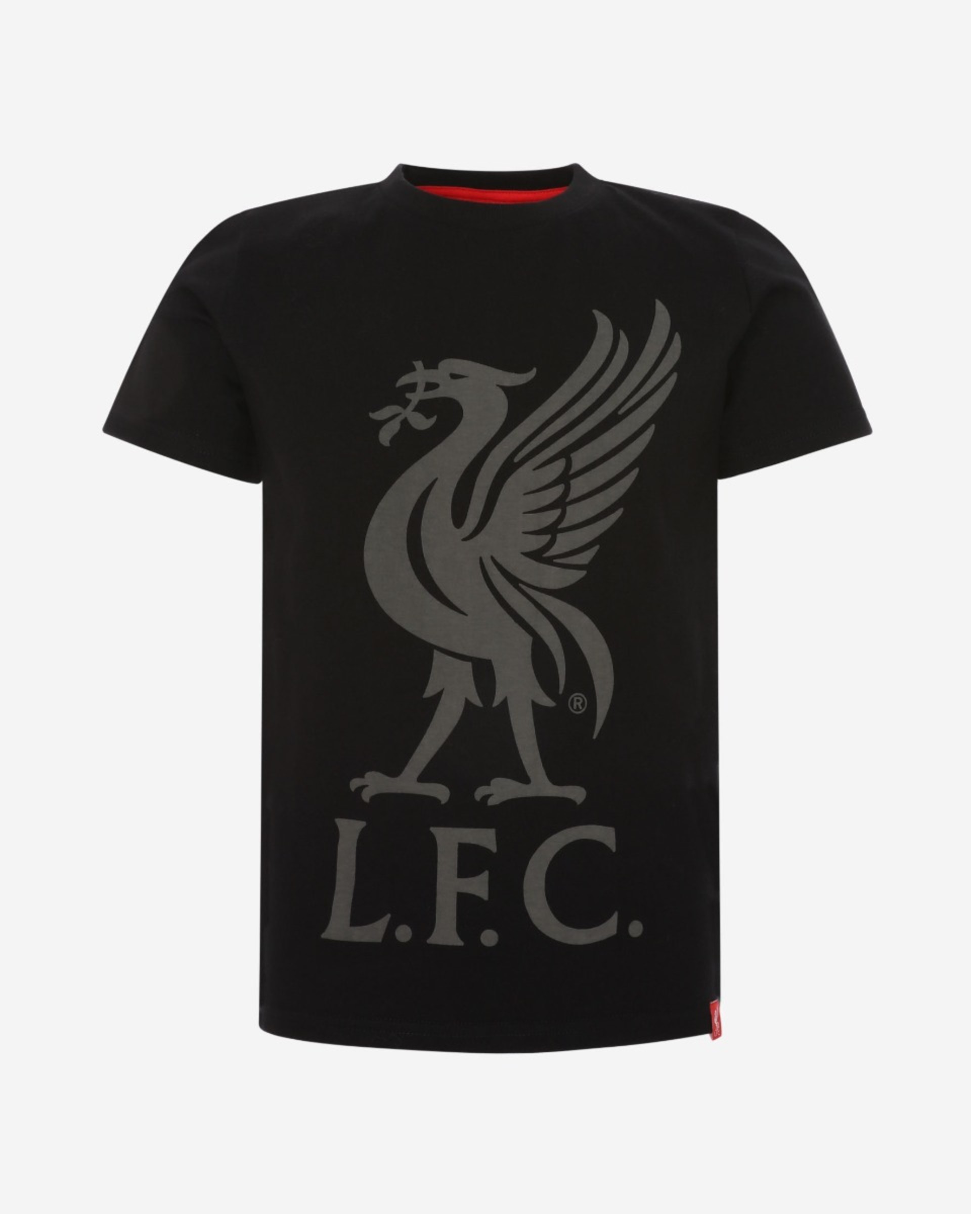 T-shirt Liverbird noir LFC Junior - Image 1