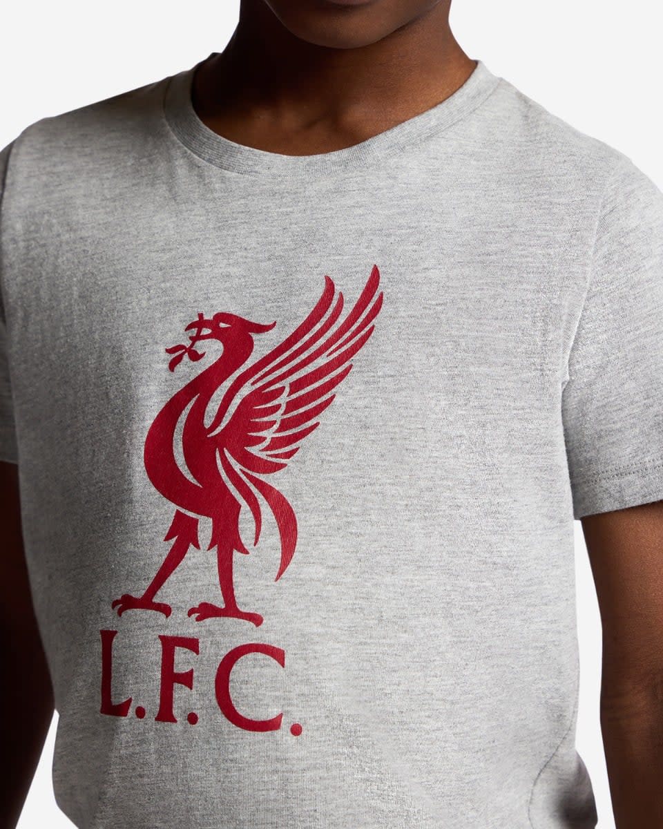 LFC Infants Check Shorts Pyjamas Set Grey - Image 3