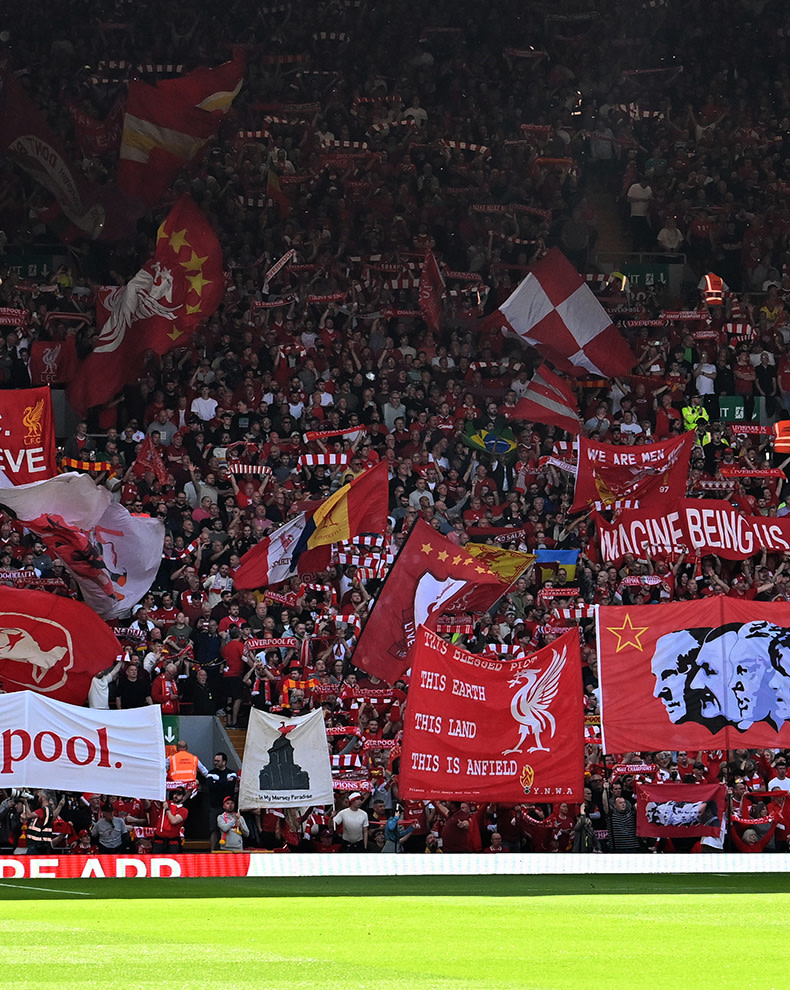 All Red Light Membership Voucher - Image 1