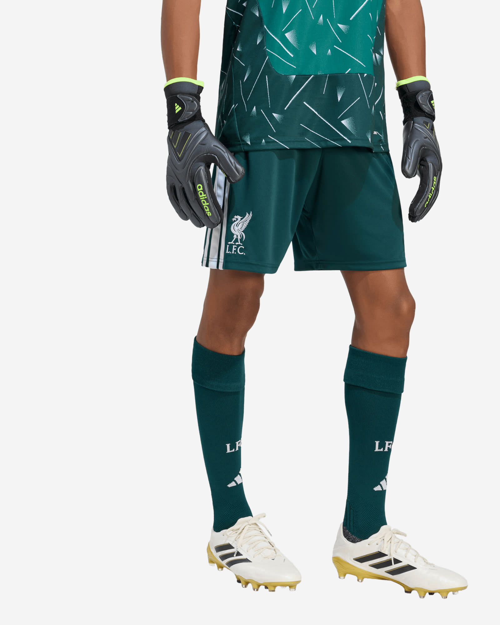 LFC adidas Herr 26/27 Hemmålvaktsshorts - Image 1