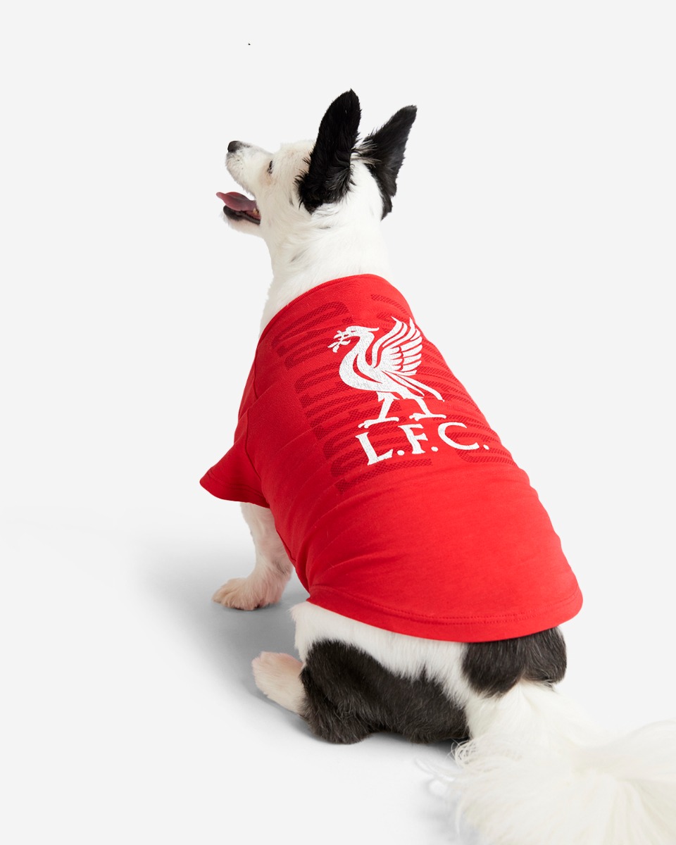 เสื้อยืดสีแดง LFC เพ็ทฟอร์เวอร์ - Image 1