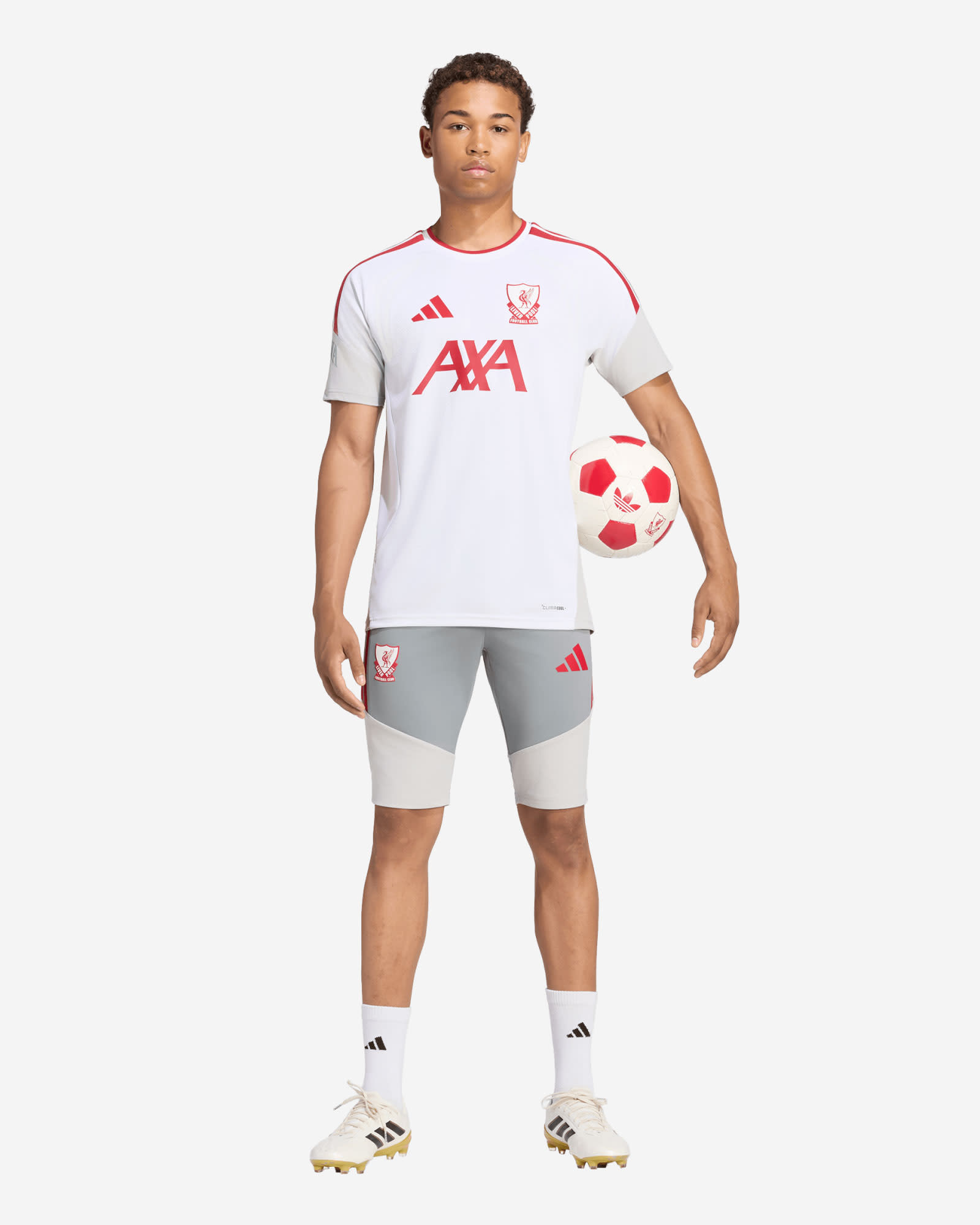 LFC adidas Herrenhose 26/27 Authentic European Tiro 1/2, Grau - Image 4
