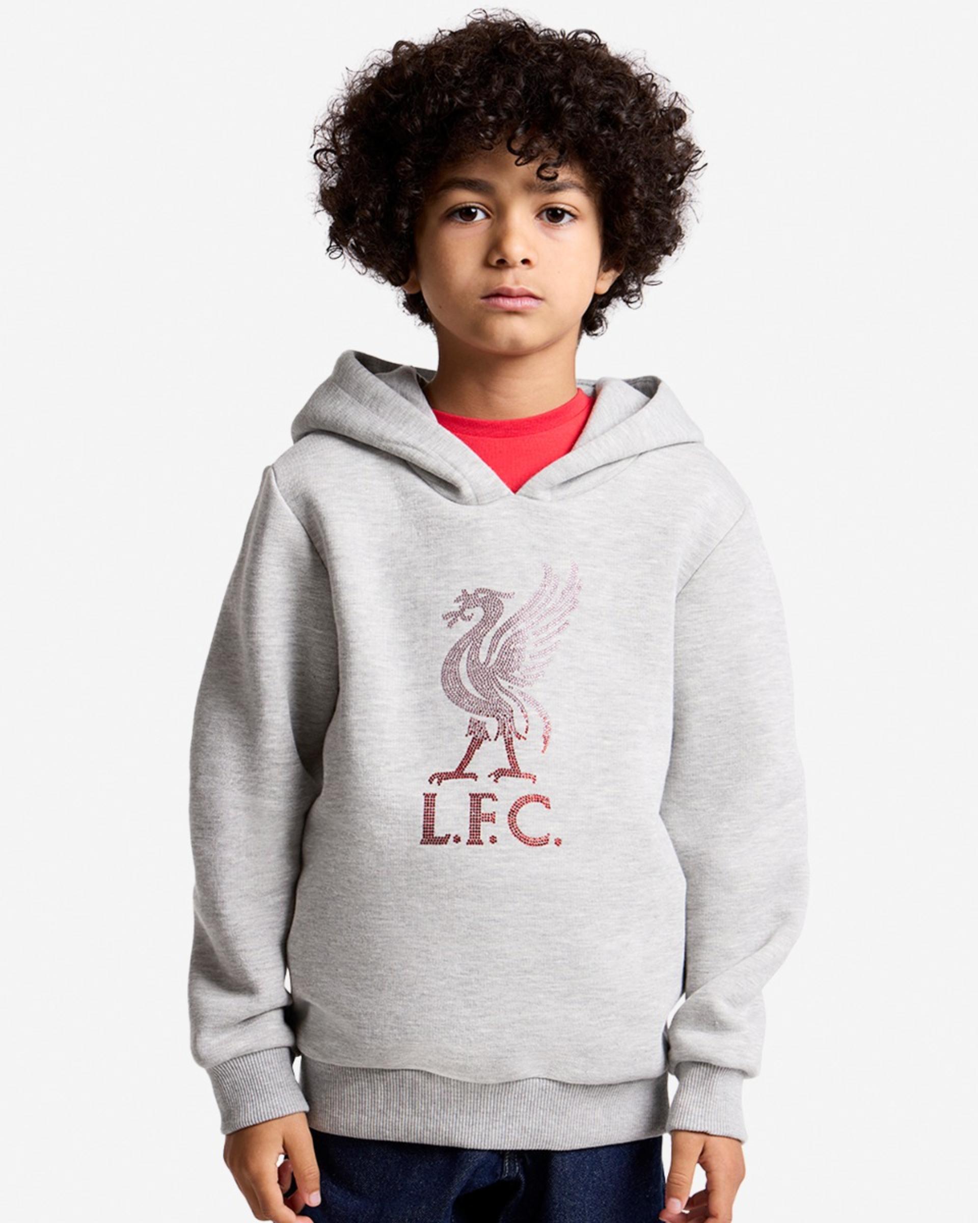 LFC Juniors Diamenté Liverbird Kapuzenpullover Grau - Image 1