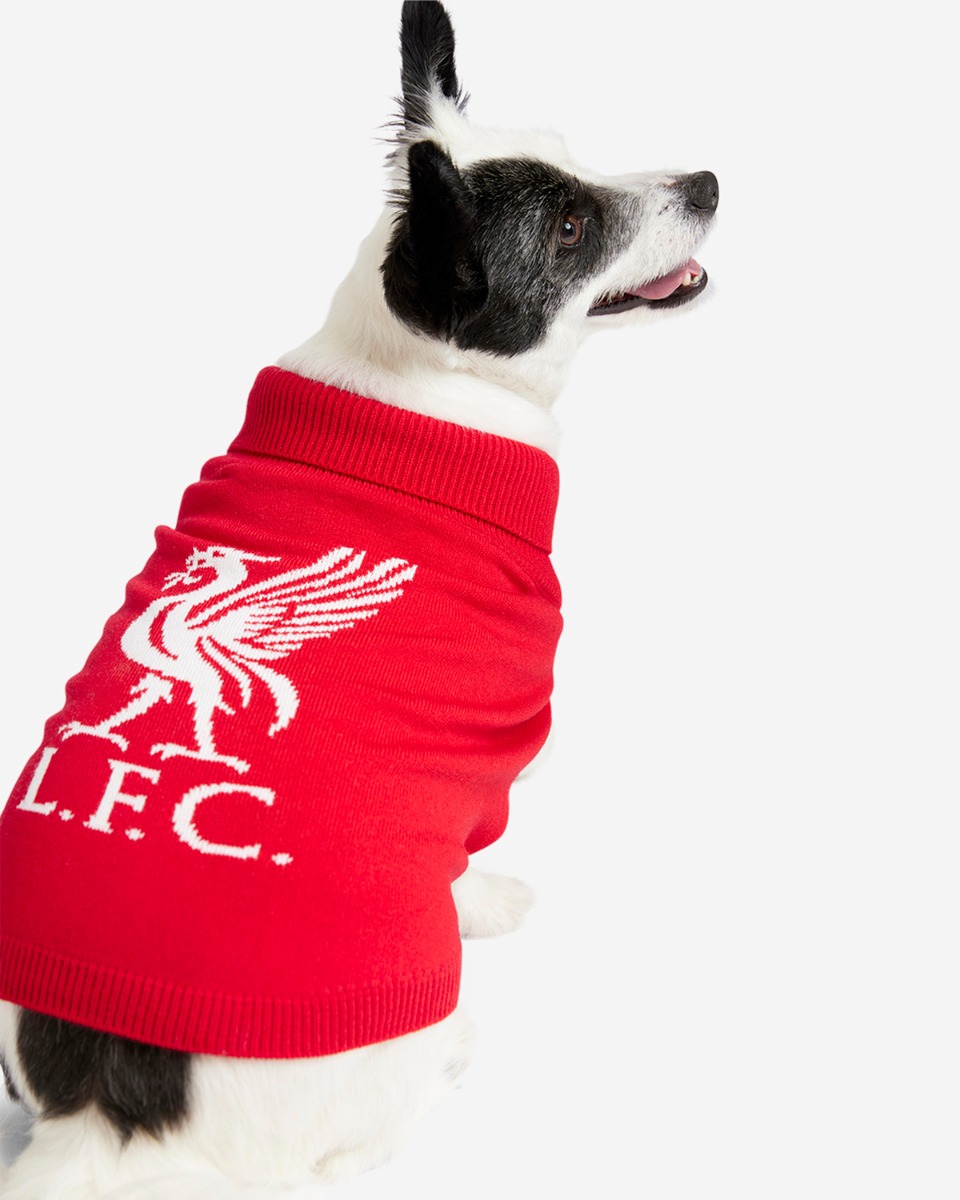 LFC Hunde-Strickpullover - Image 1
