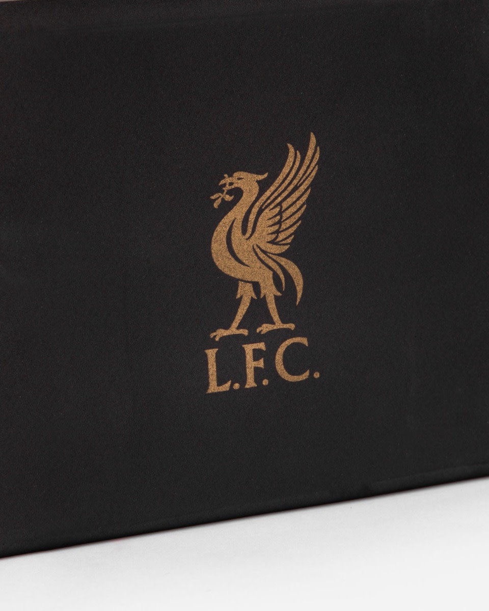 LFC Yogablock - Image 2