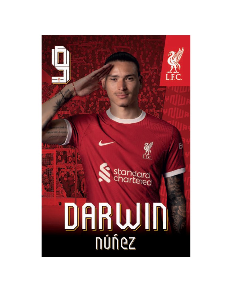 Affiche LFC 23/24 Darwin Nunez - Image 1