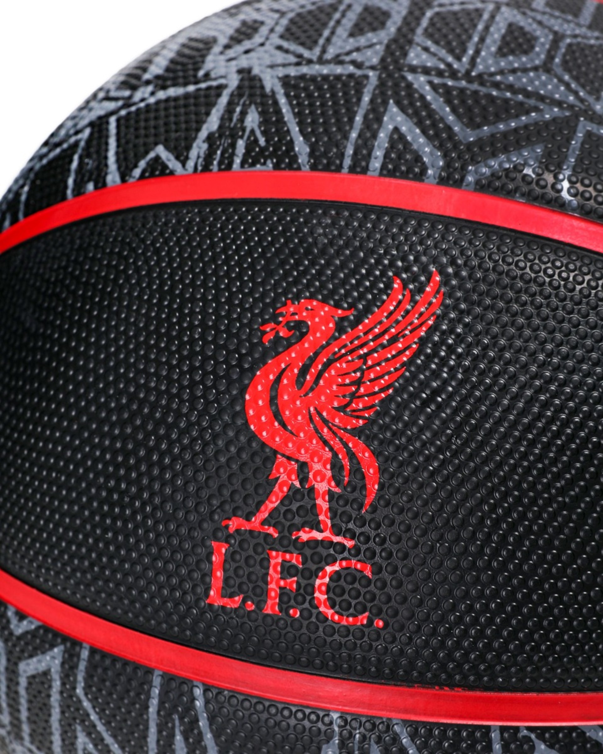 บาสเกตบอล LFC - Image 2
