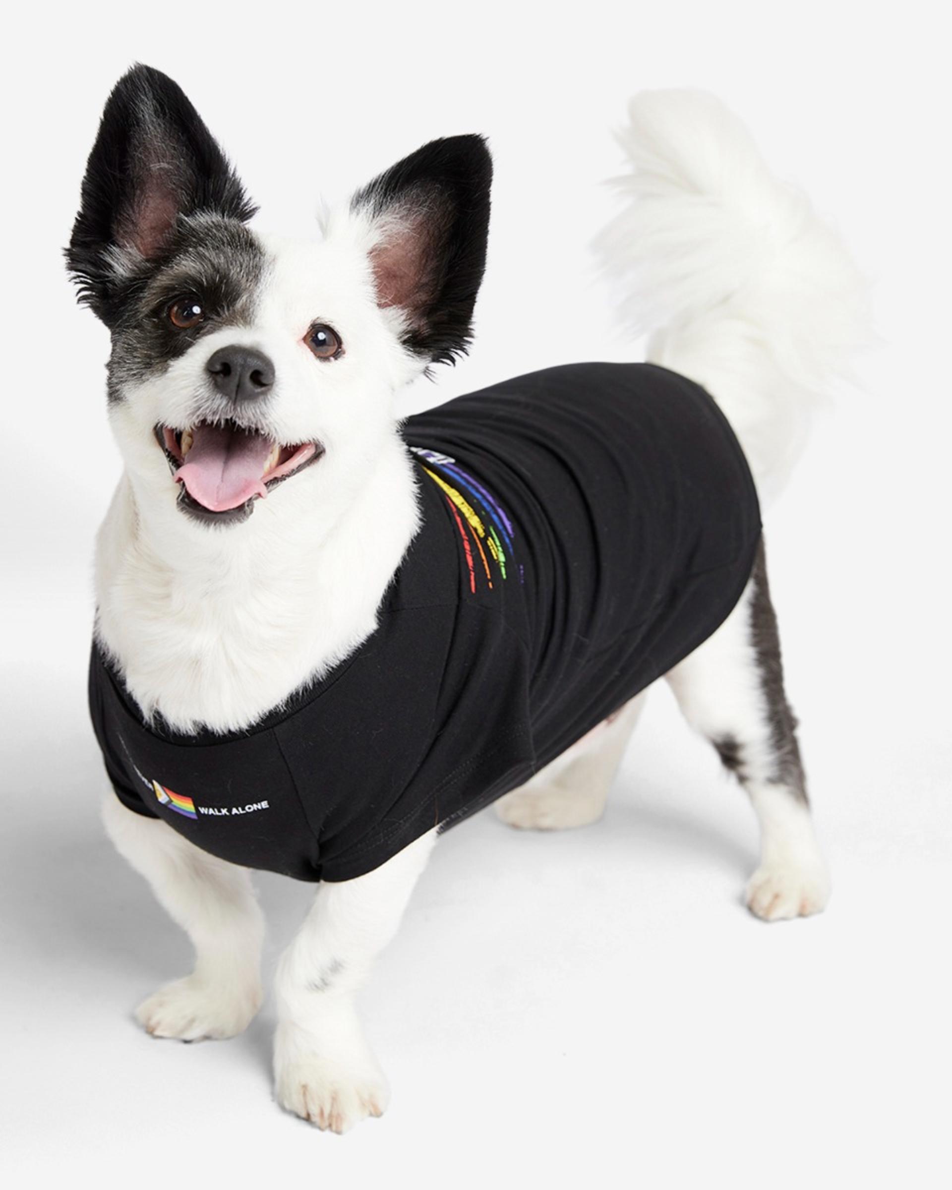 LFC Dog Liverbird Pride Tee - Image 4