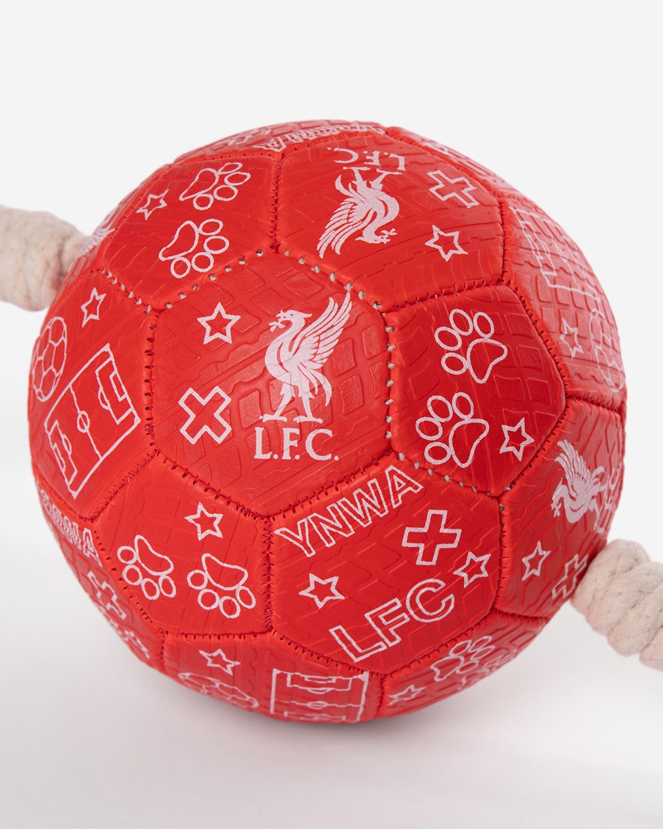 LFC Dog Football - Image 2