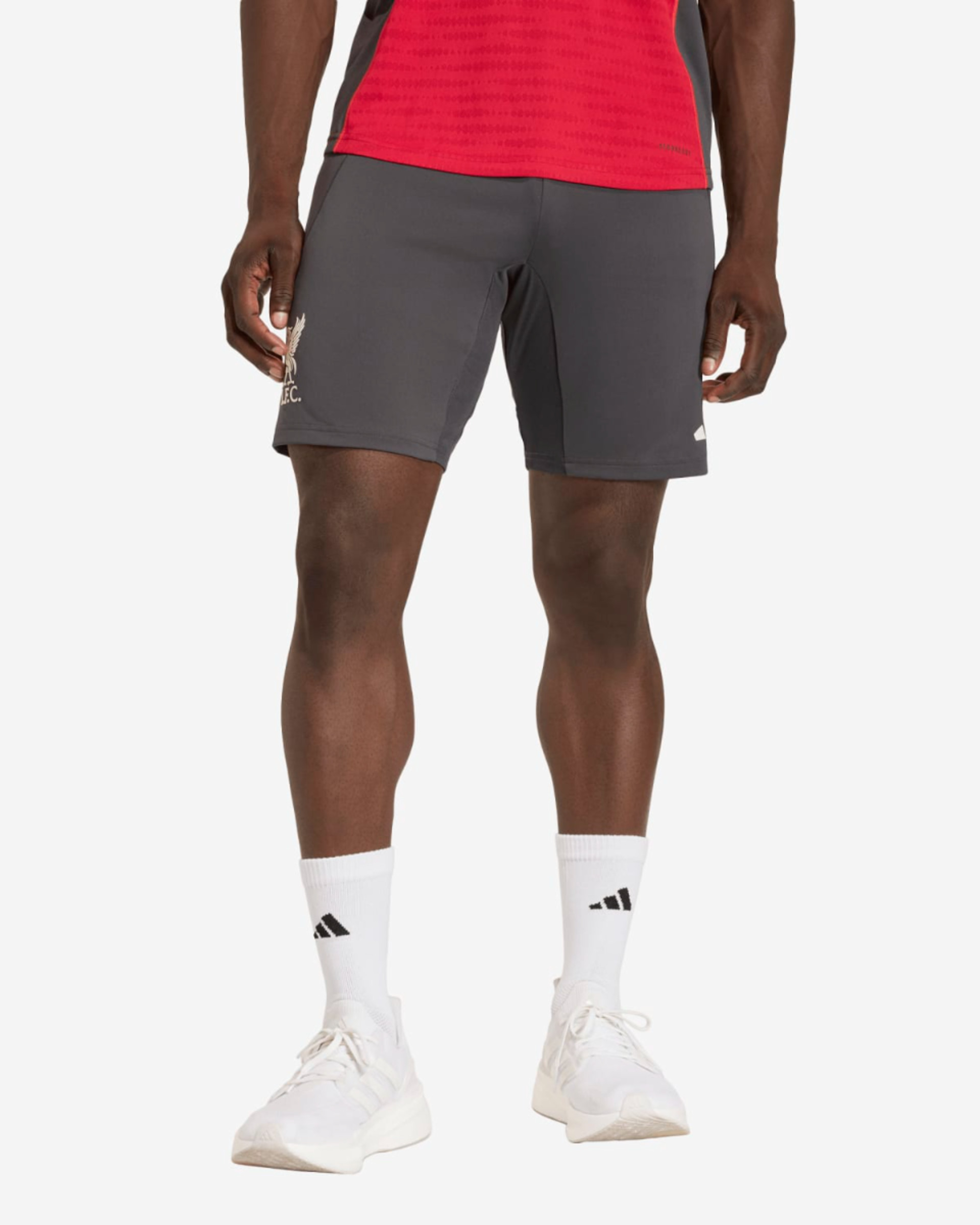 LFC adidas Herre 25/26 Pro-træningsshorts Sort - Image 1