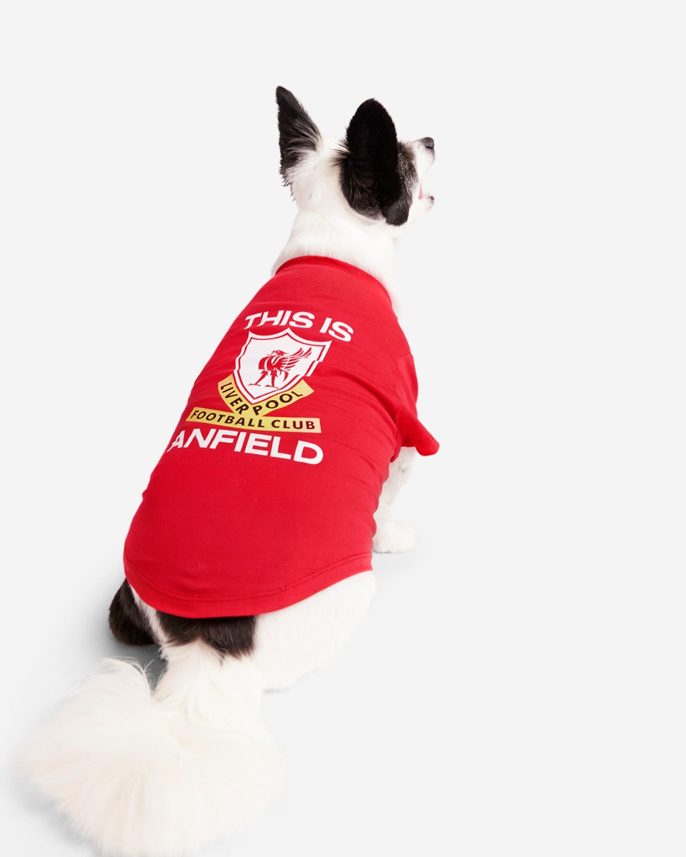 LFC Dog Das ist Anfield Tee - Image 1