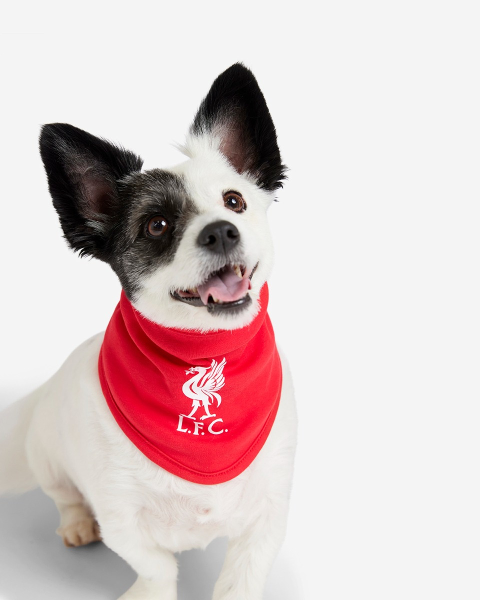 LFC Pet vendbar bandana - Image 1