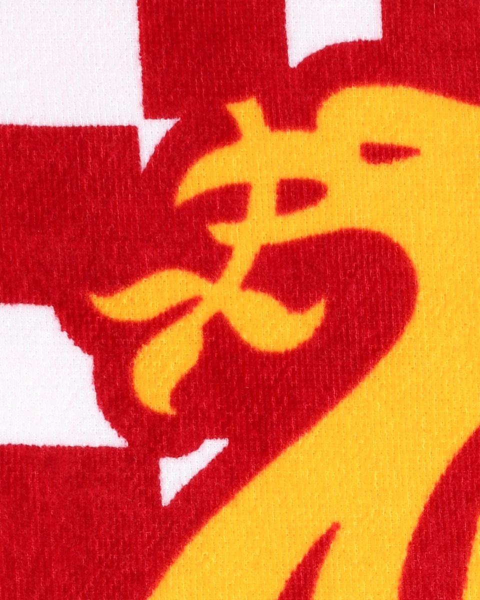 LFC Beach Towel Check - Image 4