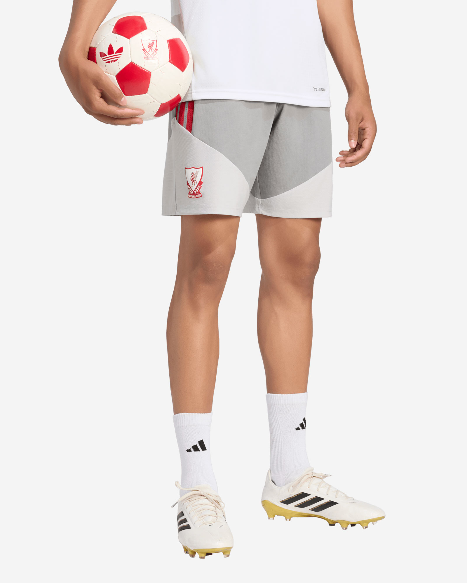 LFC adidas Herren-Trainingsshorts 26/27 Authentic European Tiro, Grau - Image 1