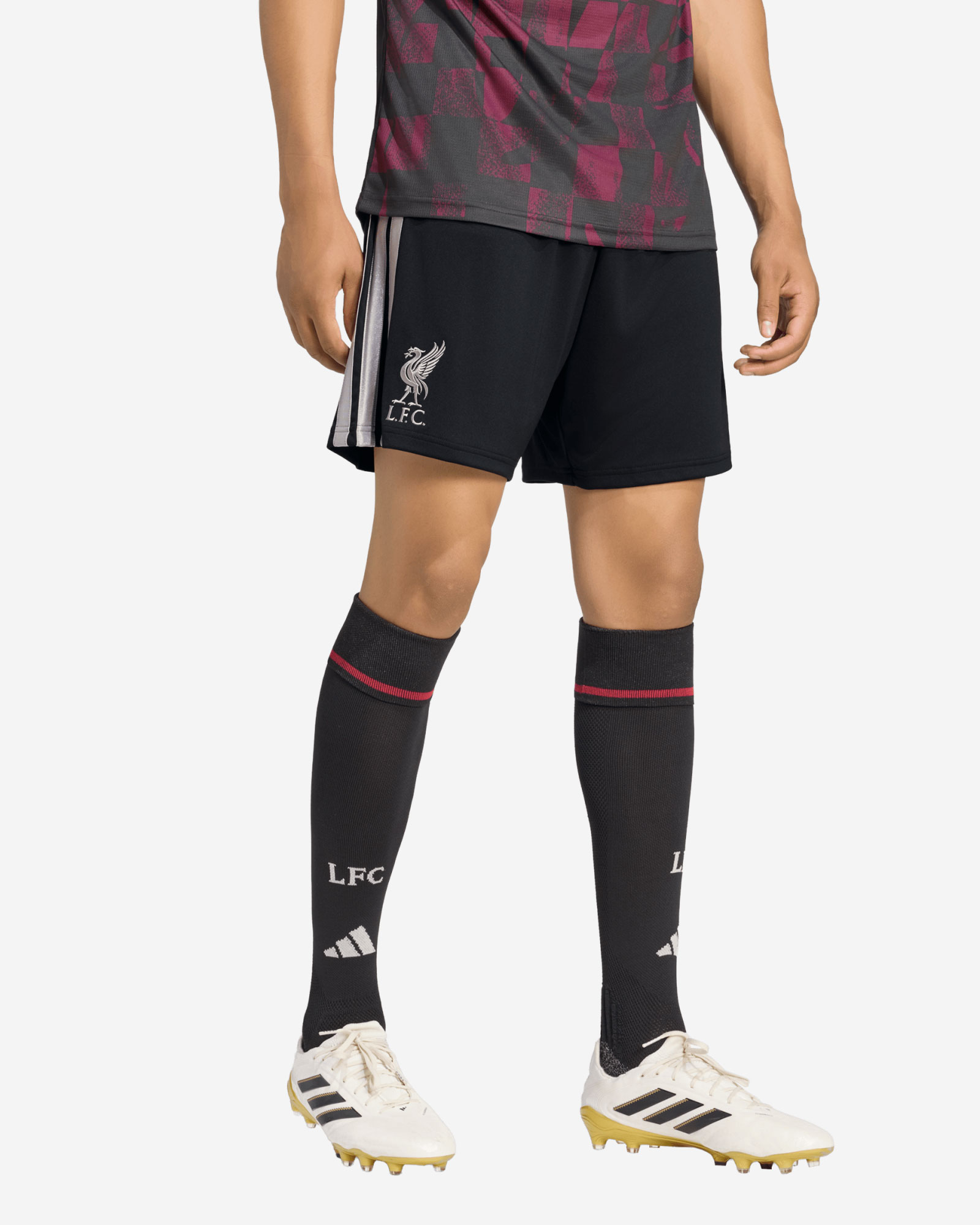 LFC adidas Herr 26/27 Third Shorts - Image 1