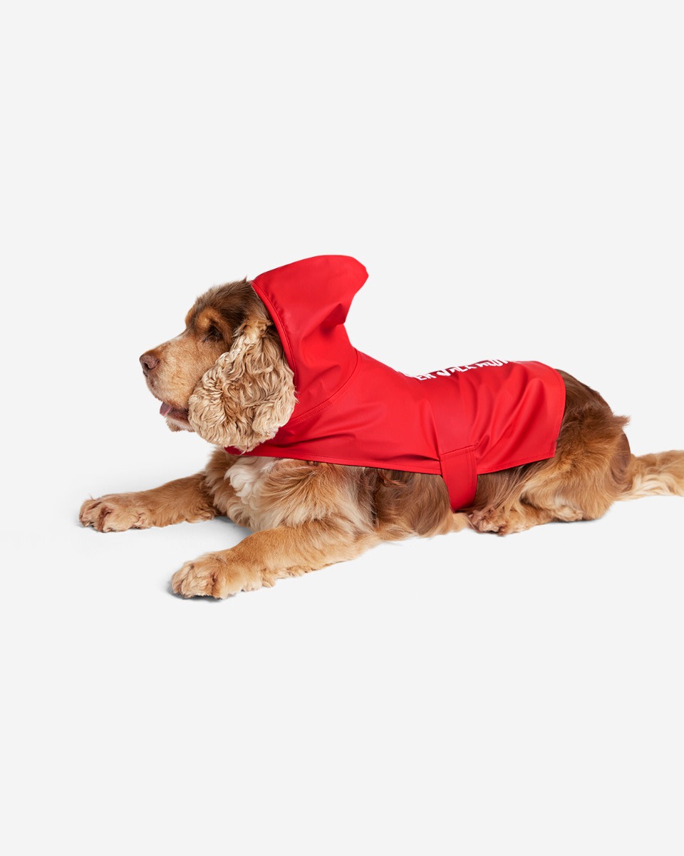 LFC Pet Raincoat - Image 2