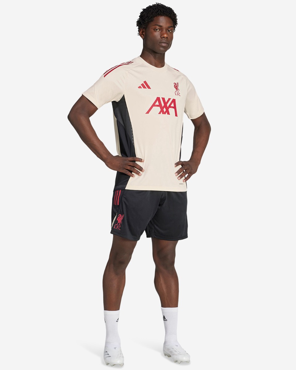 LFC adidas Mens 25/26 Domestic Training Shorts Black - Image 3