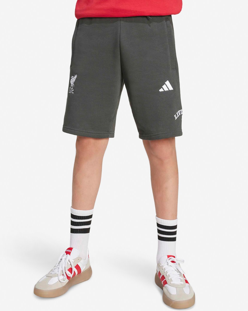 LFC adidas Youth 25/26 US Pack Shorts Grey - Image 3