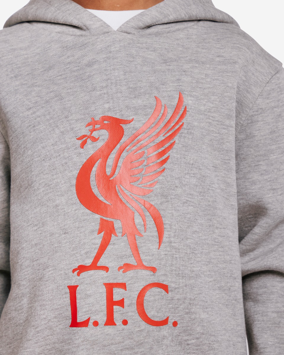 LFC Juniors Liverbird Hættetrøje Grå Marl - Image 3