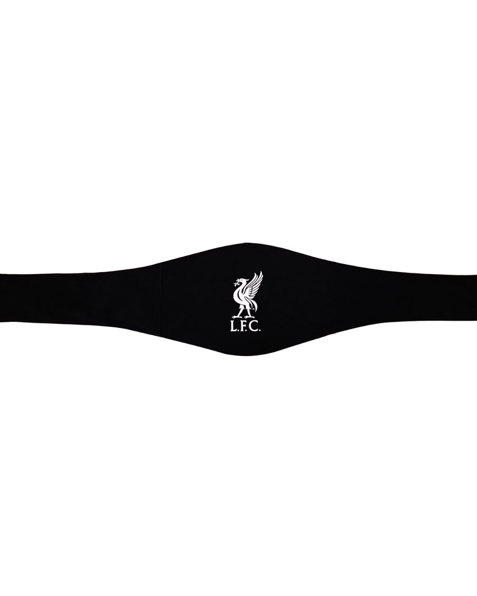 Cinturón de campeonato LFC WWE - Image 4