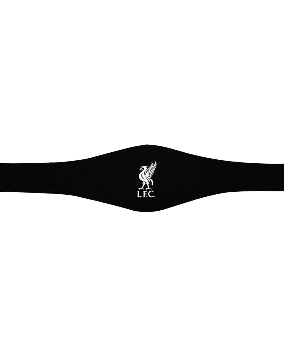LFC WWE Championship Belt - Image 4