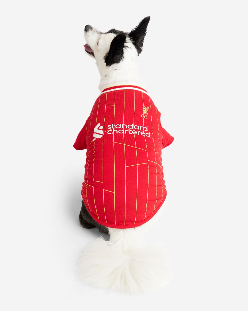 LFC 24/25 Home Pet Tee - Image 2