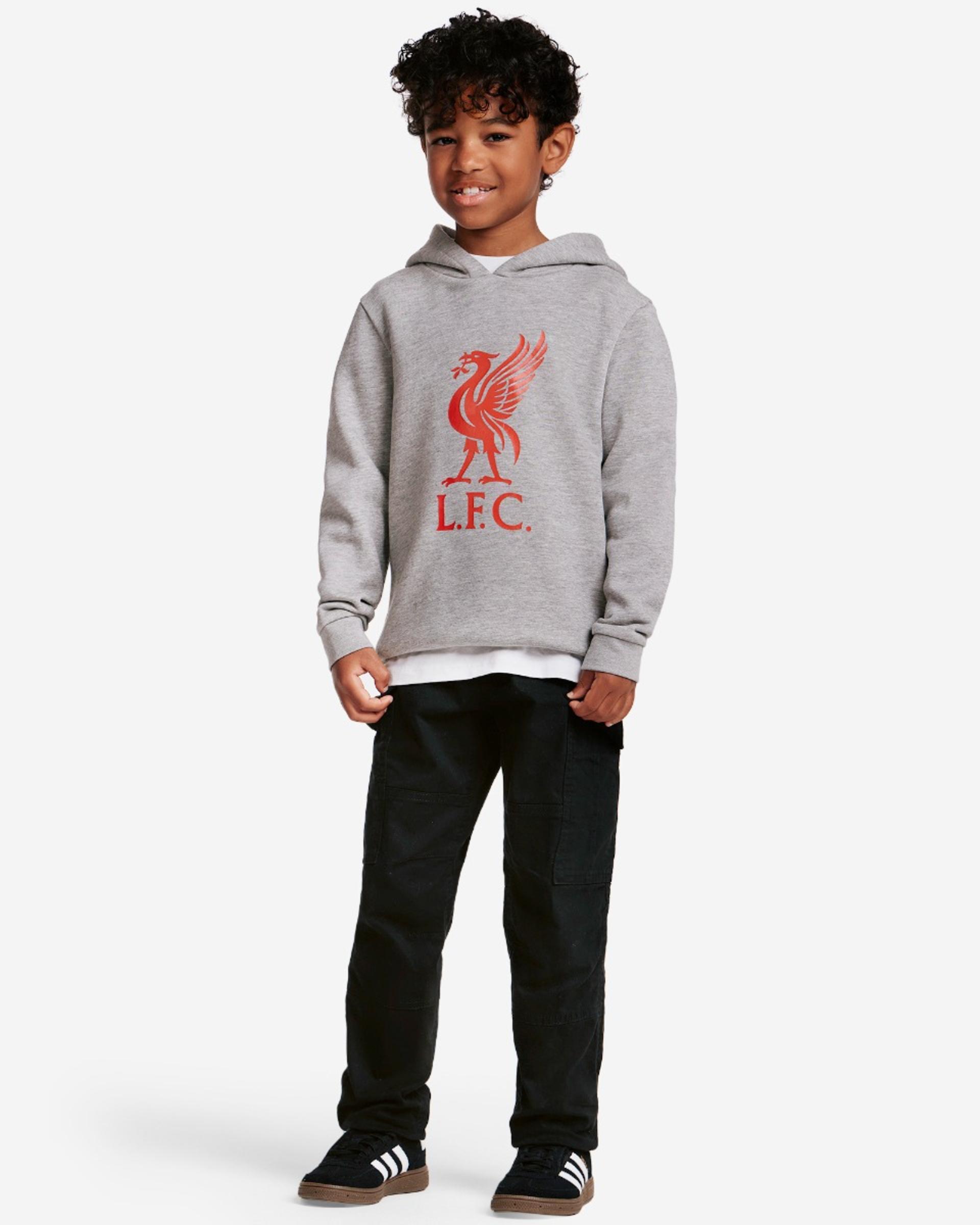 LFC Juniors Liverbird Hættetrøje Grå Marl - Image 1