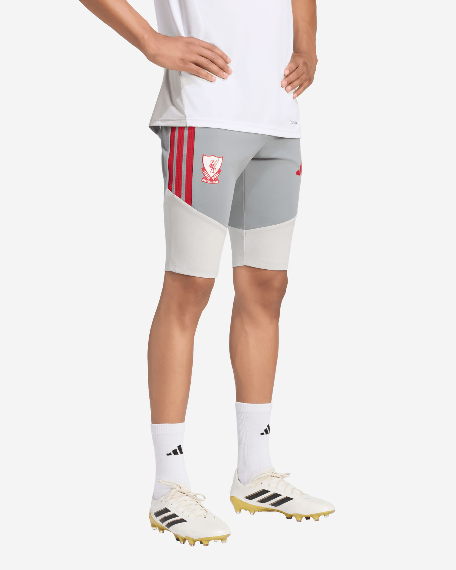 LFC adidas Herrenhose 26/27 Authentic European Tiro 1/2, Grau - Image 1