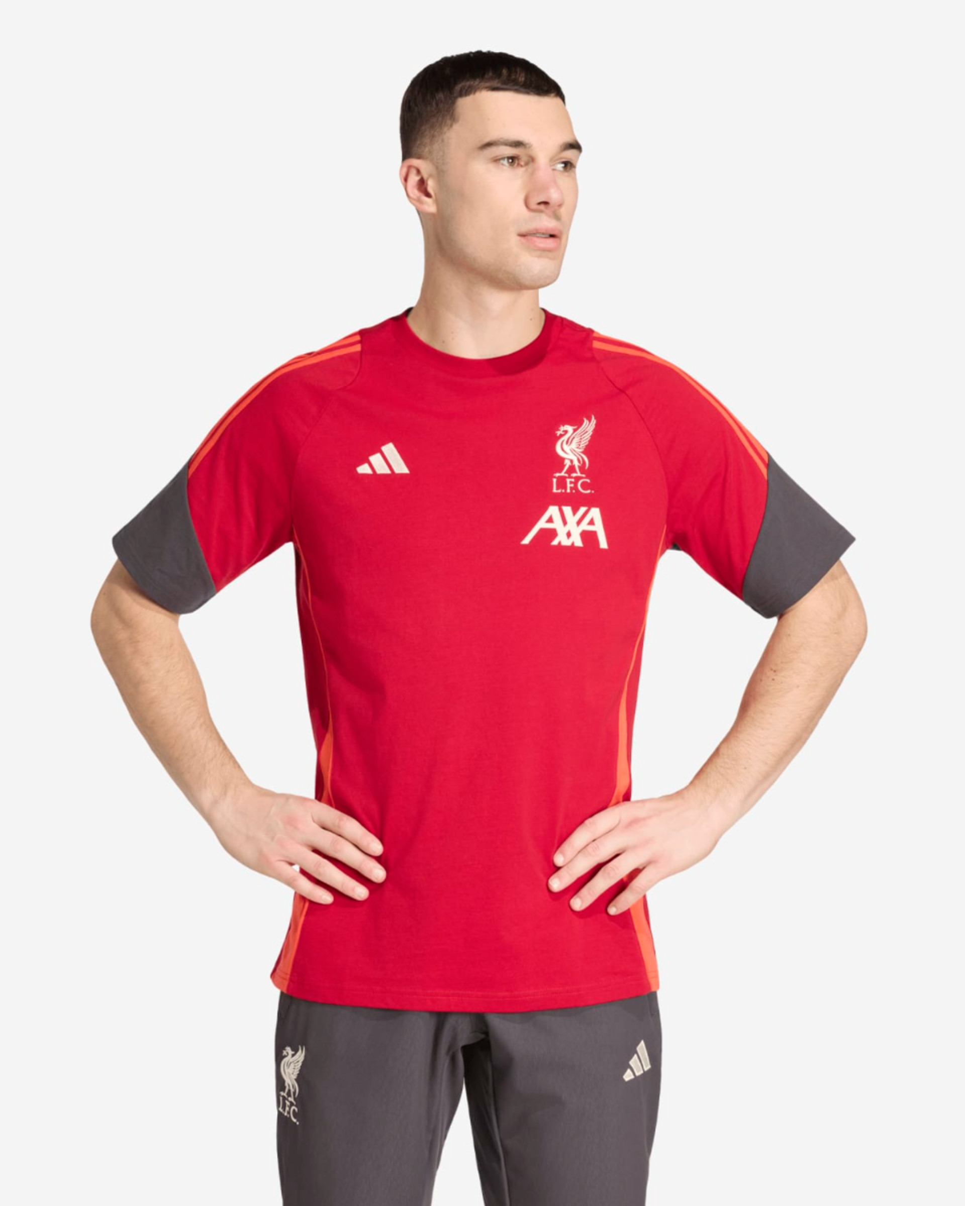LFC adidas Herre 25/26 Træningstrøje Rød - Image 1
