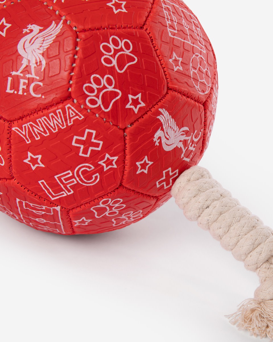 LFC Dog Football - Image 3
