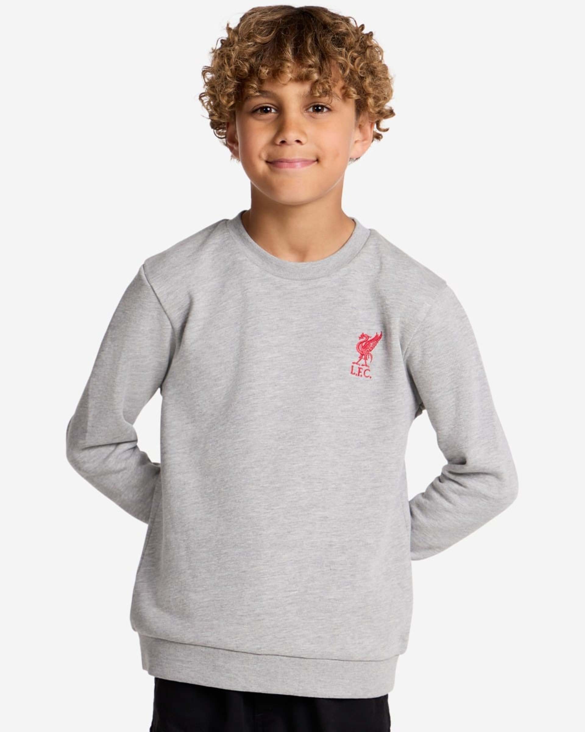 LFC Juniors Sweatshirt med rund hals Grå Marl - Image 1