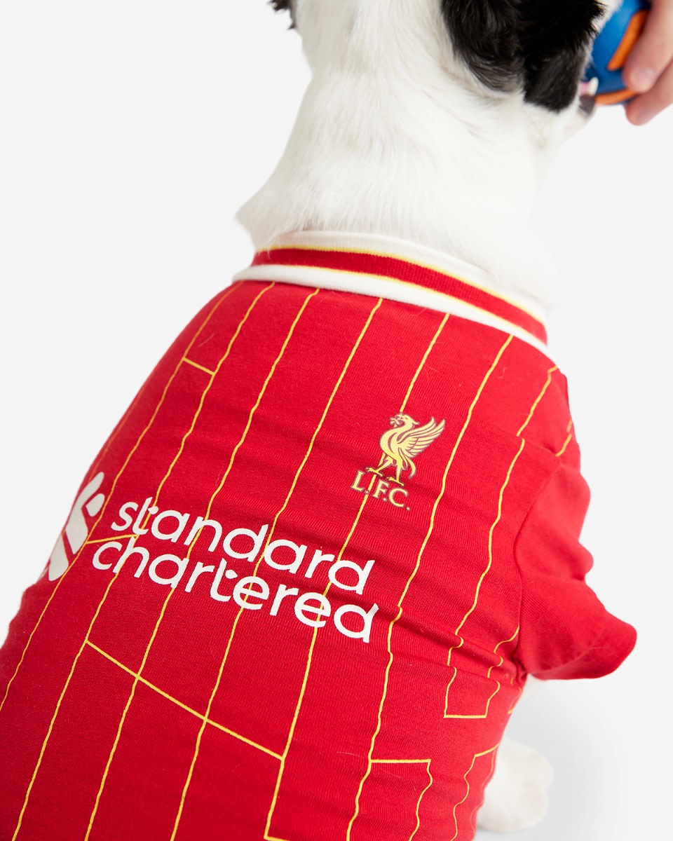 LFC 24/25 Home Pet Tee - Image 4