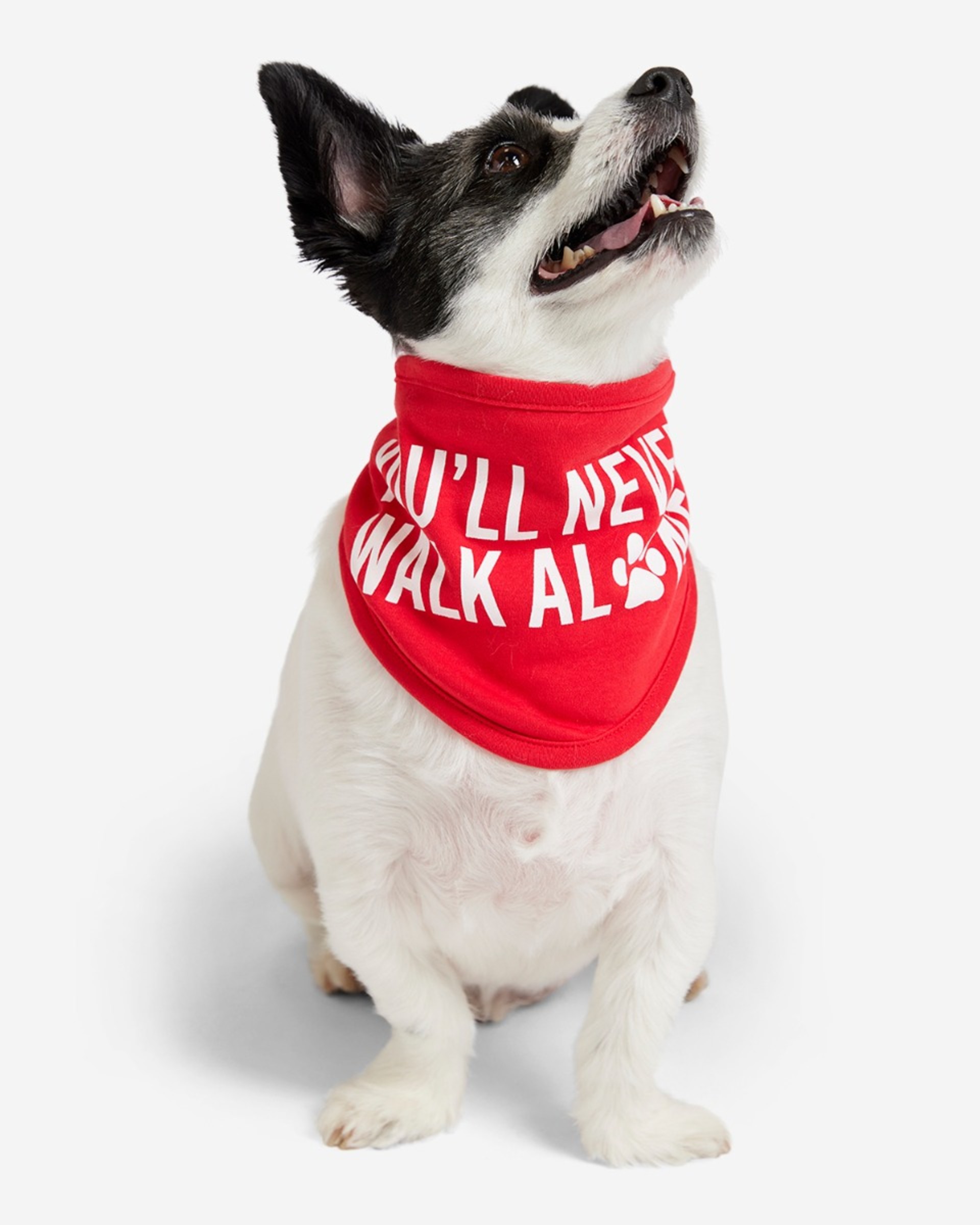 LFC Pet vendbar bandana - Image 2